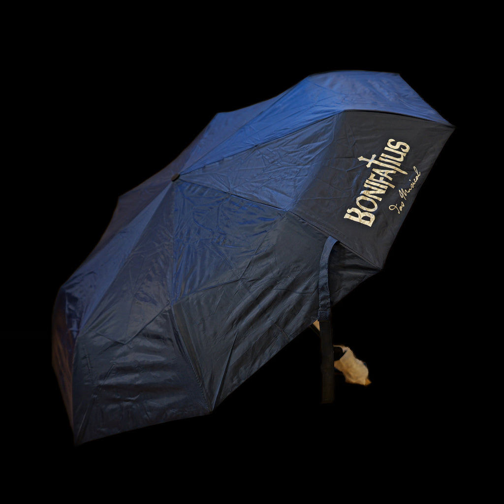 Taschenschirm "Bonifatius" blau/silber